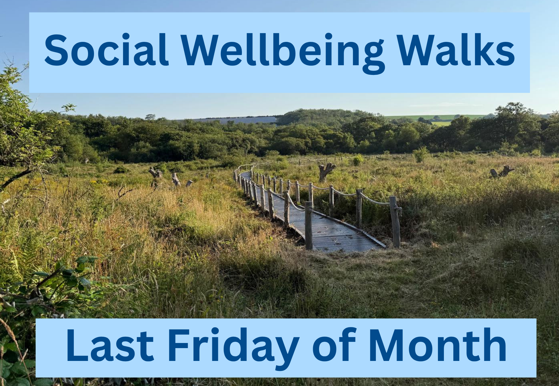 Social Wellbeing Walks - Cornwall Wildlife Trust, Five Acres, Truro activity image