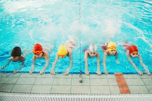 Adult Swimming Lessons activity image